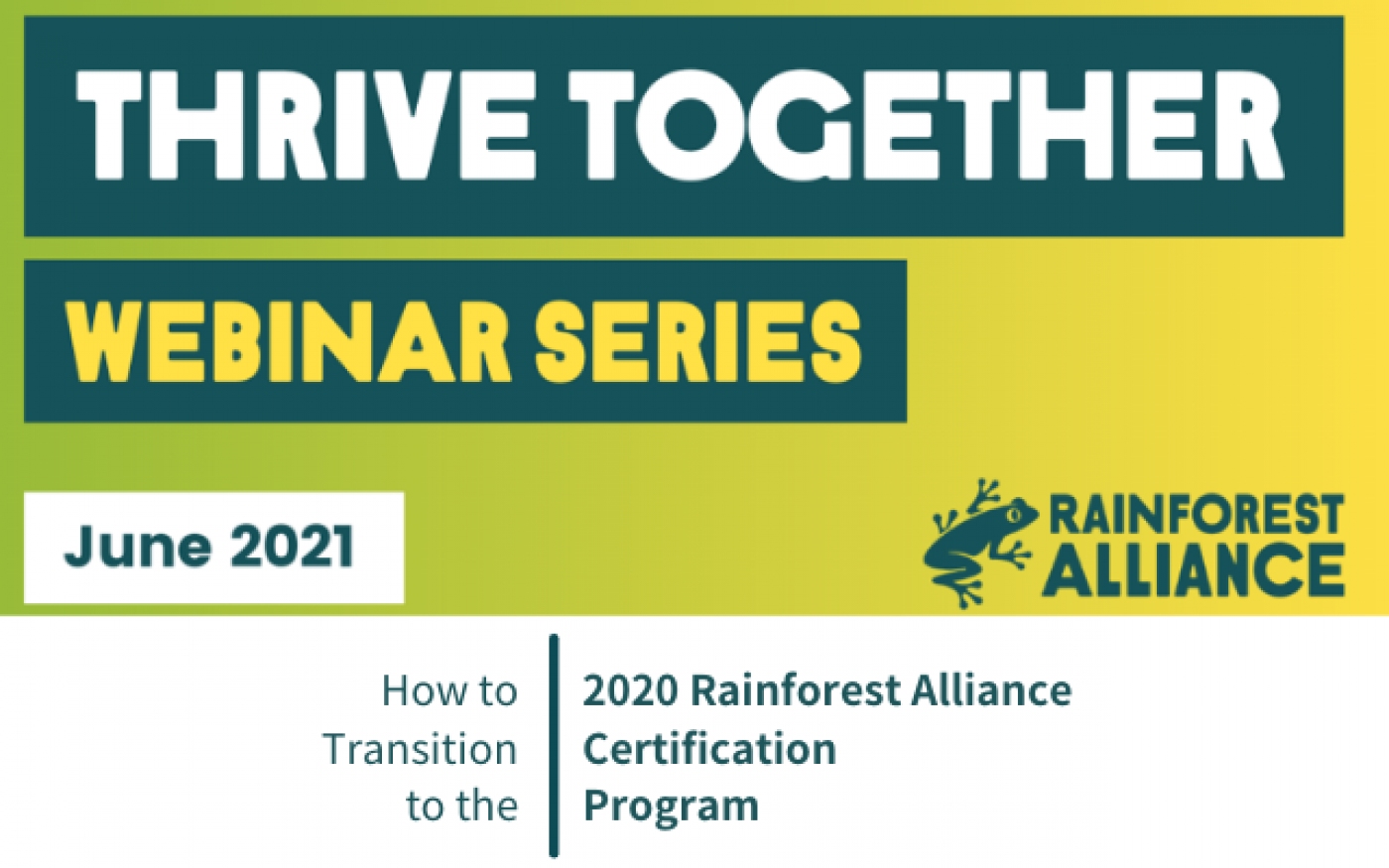 Sessões Rainforest Alliance e relatórios 2020